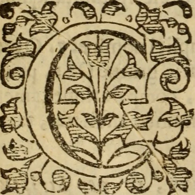 An illustration from Expositio analytica omnium Apostolicarum Epistolarum, seu, Brevis introductio ad pleniores commentarios : in usum studiosorum theologiae, 1647, leaf 141