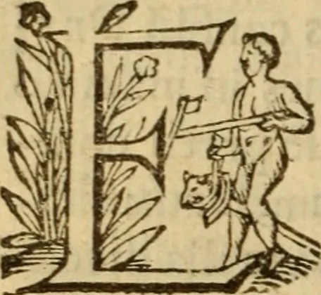 An illustration from Expositio analytica omnium Apostolicarum Epistolarum, seu, Brevis introductio ad pleniores commentarios : in usum studiosorum theologiae, 1647, leaf 151
