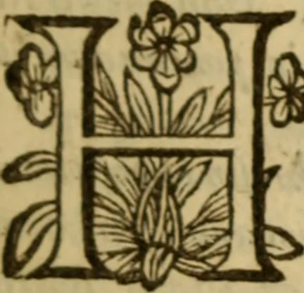 An illustration from Expositio analytica omnium Apostolicarum Epistolarum, seu, Brevis introductio ad pleniores commentarios : in usum studiosorum theologiae, 1647, leaf 16
