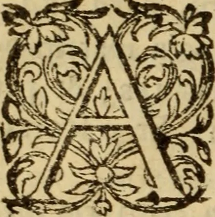 An illustration from Expositio analytica omnium Apostolicarum Epistolarum, seu, Brevis introductio ad pleniores commentarios : in usum studiosorum theologiae, 1647, leaf 175