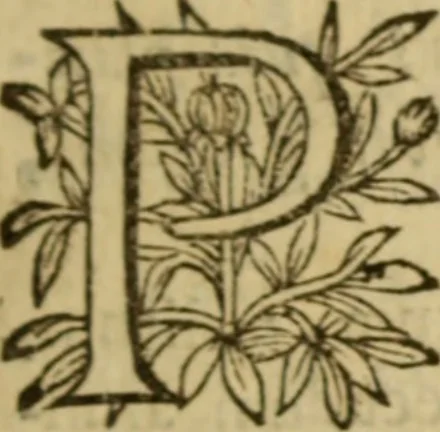 An illustration from Expositio analytica omnium Apostolicarum Epistolarum, seu, Brevis introductio ad pleniores commentarios : in usum studiosorum theologiae, 1647, leaf 186