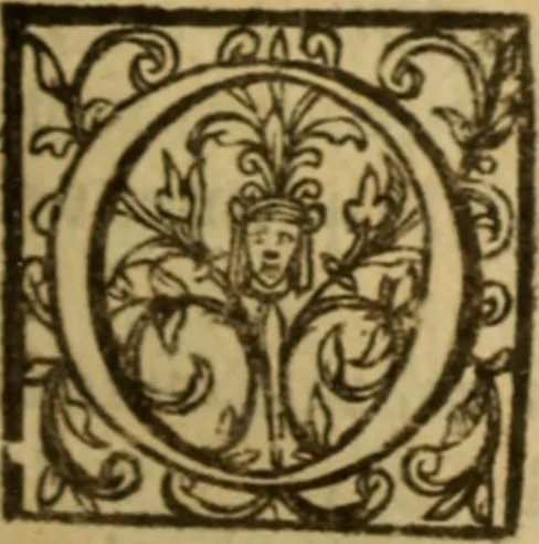 An illustration from Expositio analytica omnium Apostolicarum Epistolarum, seu, Brevis introductio ad pleniores commentarios : in usum studiosorum theologiae, 1647, leaf 206