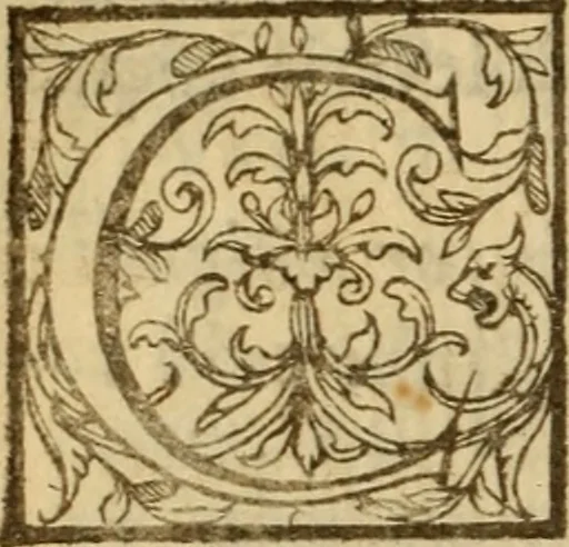 An illustration from Expositio analytica omnium Apostolicarum Epistolarum, seu, Brevis introductio ad pleniores commentarios : in usum studiosorum theologiae, 1647, leaf 217
