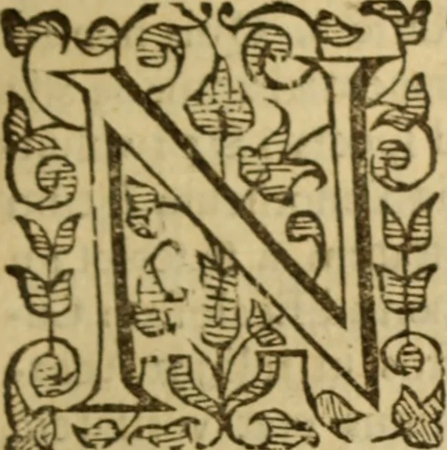 An illustration from Expositio analytica omnium Apostolicarum Epistolarum, seu, Brevis introductio ad pleniores commentarios : in usum studiosorum theologiae, 1647, leaf 242