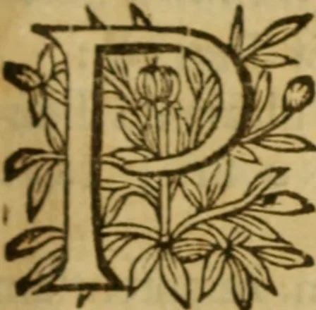 An illustration from Expositio analytica omnium Apostolicarum Epistolarum, seu, Brevis introductio ad pleniores commentarios : in usum studiosorum theologiae, 1647, leaf 254