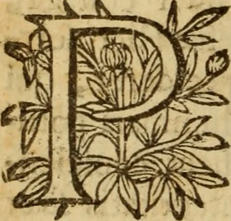 An illustration from Expositio analytica omnium Apostolicarum Epistolarum, seu, Brevis introductio ad pleniores commentarios : in usum studiosorum theologiae, 1647, leaf 287