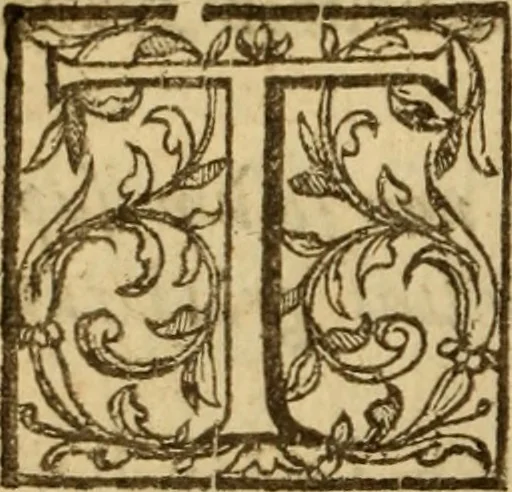 An illustration from Expositio analytica omnium Apostolicarum Epistolarum, seu, Brevis introductio ad pleniores commentarios : in usum studiosorum theologiae, 1647, leaf 291
