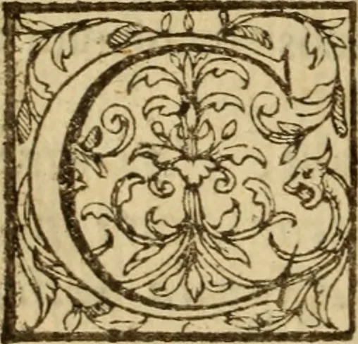 An illustration from Expositio analytica omnium Apostolicarum Epistolarum, seu, Brevis introductio ad pleniores commentarios : in usum studiosorum theologiae, 1647, leaf 295