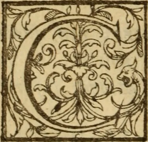 An illustration from Expositio analytica omnium Apostolicarum Epistolarum, seu, Brevis introductio ad pleniores commentarios : in usum studiosorum theologiae, 1647, leaf 309