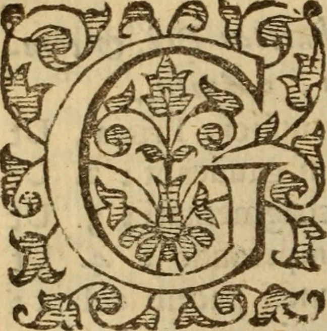 An illustration from Expositio analytica omnium Apostolicarum Epistolarum, seu, Brevis introductio ad pleniores commentarios : in usum studiosorum theologiae, 1647, leaf 313