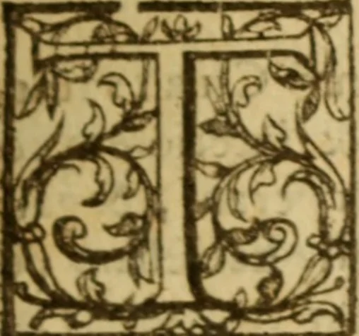 An illustration from Expositio analytica omnium Apostolicarum Epistolarum, seu, Brevis introductio ad pleniores commentarios : in usum studiosorum theologiae, 1647, leaf 336