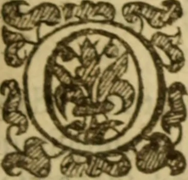 An illustration from Expositio analytica omnium Apostolicarum Epistolarum, seu, Brevis introductio ad pleniores commentarios : in usum studiosorum theologiae, 1647, leaf 352