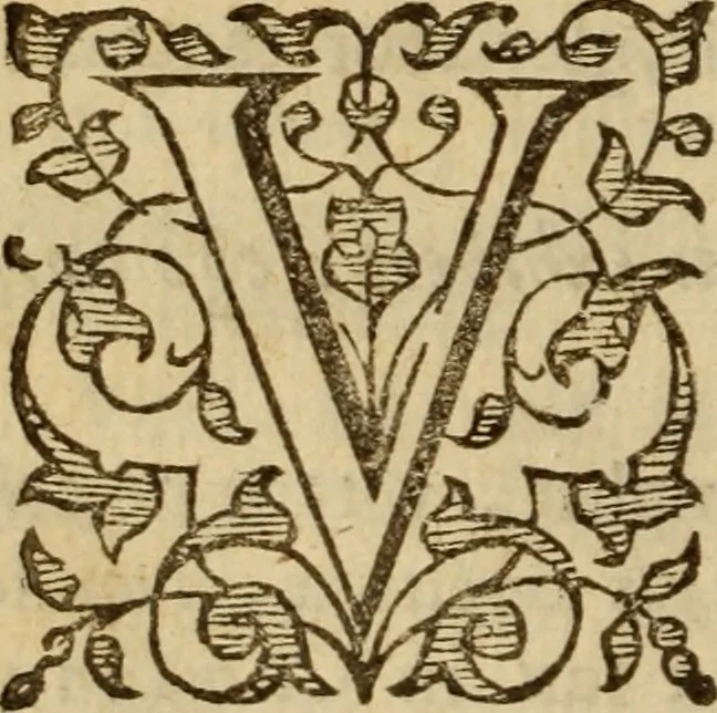 An illustration from Expositio analytica omnium Apostolicarum Epistolarum, seu, Brevis introductio ad pleniores commentarios : in usum studiosorum theologiae, 1647, leaf 357