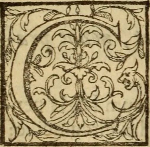 An illustration from Expositio analytica omnium Apostolicarum Epistolarum, seu, Brevis introductio ad pleniores commentarios : in usum studiosorum theologiae, 1647, leaf 37