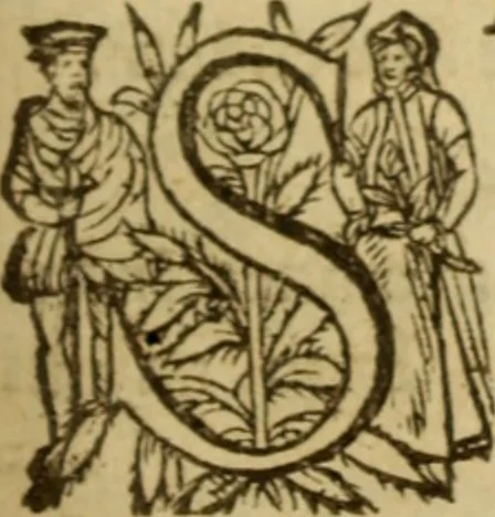 An illustration from Expositio analytica omnium Apostolicarum Epistolarum, seu, Brevis introductio ad pleniores commentarios : in usum studiosorum theologiae, 1647, leaf 388