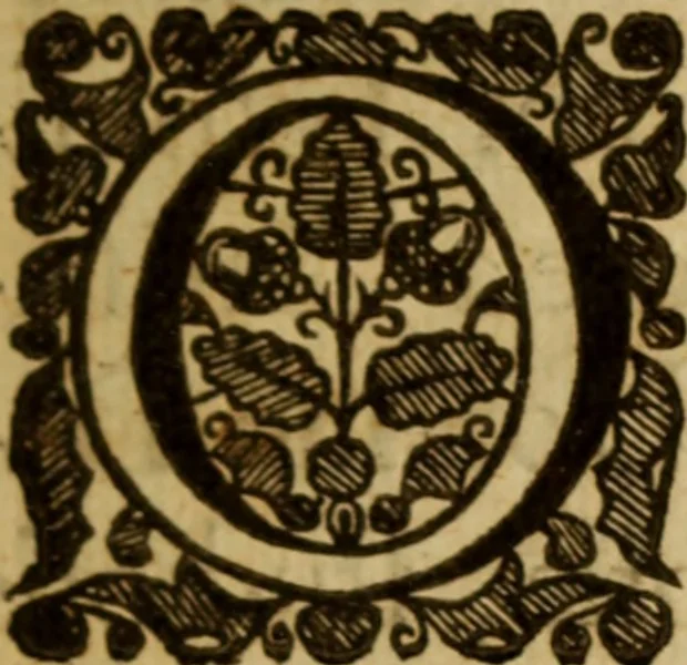 An illustration from Expositio analytica omnium Apostolicarum Epistolarum, seu, Brevis introductio ad pleniores commentarios : in usum studiosorum theologiae, 1647, leaf 4