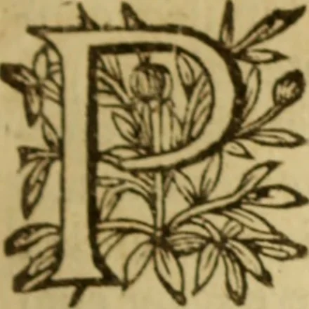 An illustration from Expositio analytica omnium Apostolicarum Epistolarum, seu, Brevis introductio ad pleniores commentarios : in usum studiosorum theologiae, 1647, leaf 406