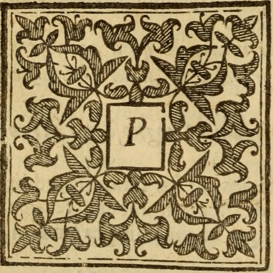 An illustration from Expositio analytica omnium Apostolicarum Epistolarum, seu, Brevis introductio ad pleniores commentarios : in usum studiosorum theologiae, 1647, leaf 411