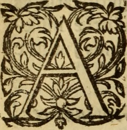 An illustration from Expositio analytica omnium Apostolicarum Epistolarum, seu, Brevis introductio ad pleniores commentarios : in usum studiosorum theologiae, 1647, leaf 45