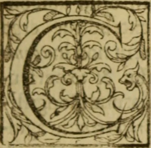 An illustration from Expositio analytica omnium Apostolicarum Epistolarum, seu, Brevis introductio ad pleniores commentarios : in usum studiosorum theologiae, 1647, leaf 452
