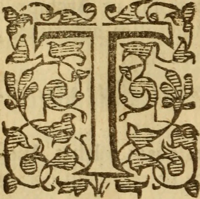 An illustration from Expositio analytica omnium Apostolicarum Epistolarum, seu, Brevis introductio ad pleniores commentarios : in usum studiosorum theologiae, 1647, leaf 477
