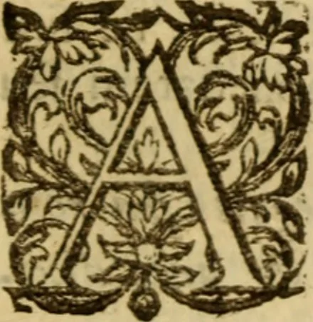 An illustration from Expositio analytica omnium Apostolicarum Epistolarum, seu, Brevis introductio ad pleniores commentarios : in usum studiosorum theologiae, 1647, leaf 488
