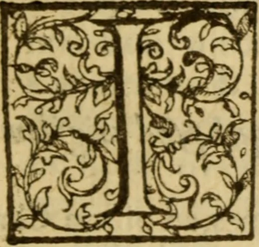An illustration from Expositio analytica omnium Apostolicarum Epistolarum, seu, Brevis introductio ad pleniores commentarios : in usum studiosorum theologiae, 1647, leaf 492