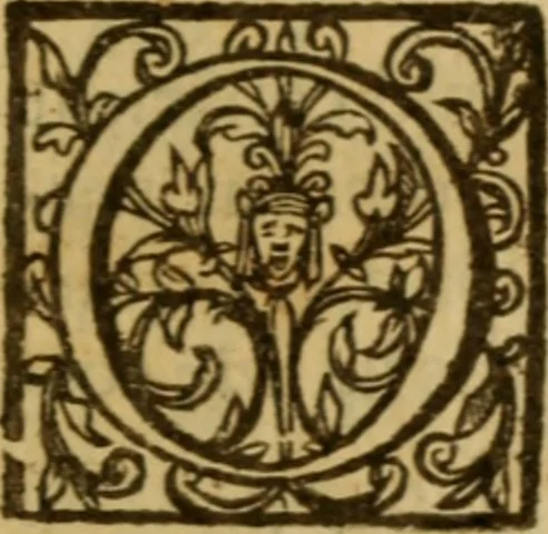 An illustration from Expositio analytica omnium Apostolicarum Epistolarum, seu, Brevis introductio ad pleniores commentarios : in usum studiosorum theologiae, 1647, leaf 498
