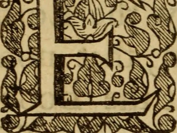 An illustration from Expositio analytica omnium Apostolicarum Epistolarum, seu, Brevis introductio ad pleniores commentarios : in usum studiosorum theologiae, 1647, leaf 5