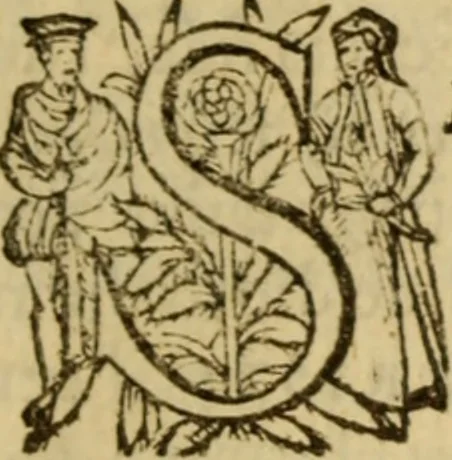 An illustration from Expositio analytica omnium Apostolicarum Epistolarum, seu, Brevis introductio ad pleniores commentarios : in usum studiosorum theologiae, 1647, leaf 502