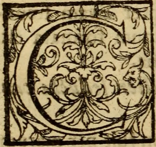 An illustration from Expositio analytica omnium Apostolicarum Epistolarum, seu, Brevis introductio ad pleniores commentarios : in usum studiosorum theologiae, 1647, leaf 527