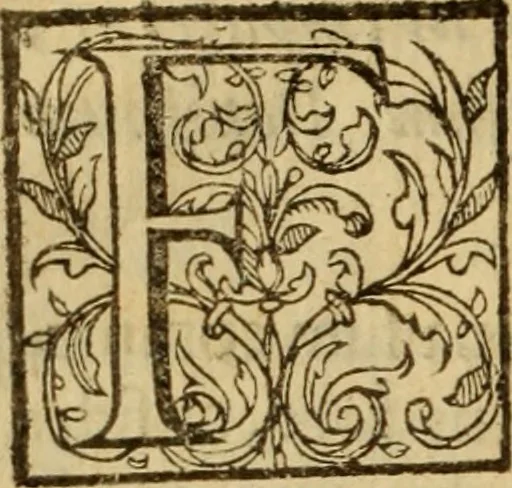 An illustration from Expositio analytica omnium Apostolicarum Epistolarum, seu, Brevis introductio ad pleniores commentarios : in usum studiosorum theologiae, 1647, leaf 53