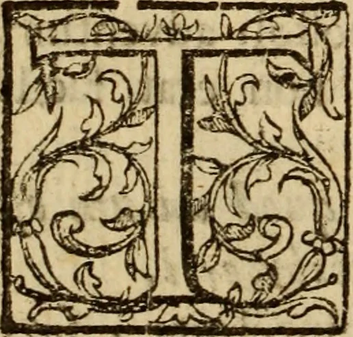 An illustration from Expositio analytica omnium Apostolicarum Epistolarum, seu, Brevis introductio ad pleniores commentarios : in usum studiosorum theologiae, 1647, leaf 539