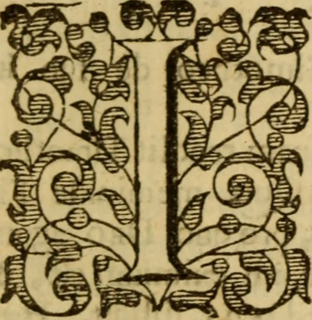 An illustration from Expositio analytica omnium Apostolicarum Epistolarum, seu, Brevis introductio ad pleniores commentarios : in usum studiosorum theologiae, 1647, leaf 552