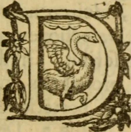 An illustration from Expositio analytica omnium Apostolicarum Epistolarum, seu, Brevis introductio ad pleniores commentarios : in usum studiosorum theologiae, 1647, leaf 570