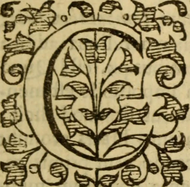 An illustration from Expositio analytica omnium Apostolicarum Epistolarum, seu, Brevis introductio ad pleniores commentarios : in usum studiosorum theologiae, 1647, leaf 576