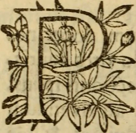 An illustration from Expositio analytica omnium Apostolicarum Epistolarum, seu, Brevis introductio ad pleniores commentarios : in usum studiosorum theologiae, 1647, leaf 585