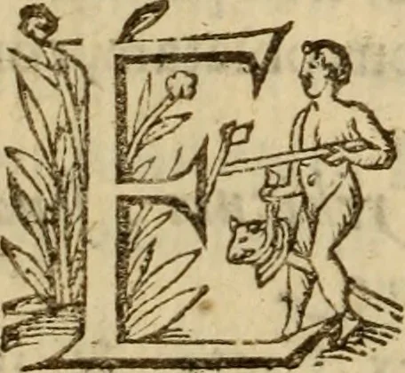 An illustration from Expositio analytica omnium Apostolicarum Epistolarum, seu, Brevis introductio ad pleniores commentarios : in usum studiosorum theologiae, 1647, leaf 589