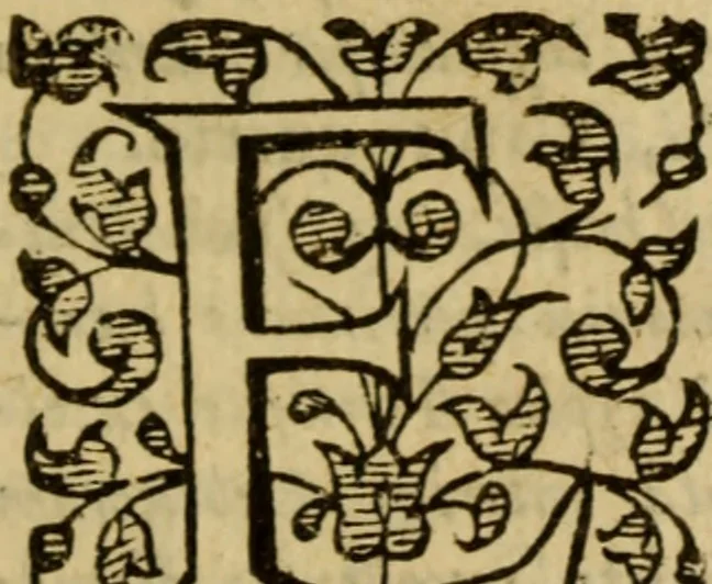 An illustration from Expositio analytica omnium Apostolicarum Epistolarum, seu, Brevis introductio ad pleniores commentarios : in usum studiosorum theologiae, 1647, leaf 594