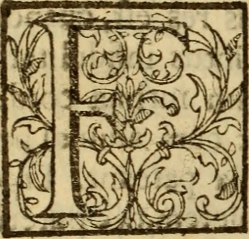 An illustration from Expositio analytica omnium Apostolicarum Epistolarum, seu, Brevis introductio ad pleniores commentarios : in usum studiosorum theologiae, 1647, leaf 615