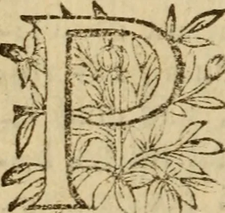 An illustration from Expositio analytica omnium Apostolicarum Epistolarum, seu, Brevis introductio ad pleniores commentarios : in usum studiosorum theologiae, 1647, leaf 625