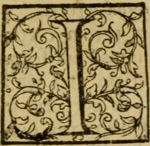 An illustration from Expositio analytica omnium Apostolicarum Epistolarum, seu, Brevis introductio ad pleniores commentarios : in usum studiosorum theologiae, 1647, leaf 634