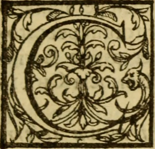 An illustration from Expositio analytica omnium Apostolicarum Epistolarum, seu, Brevis introductio ad pleniores commentarios : in usum studiosorum theologiae, 1647, leaf 648