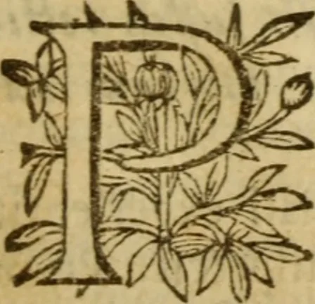 An illustration from Expositio analytica omnium Apostolicarum Epistolarum, seu, Brevis introductio ad pleniores commentarios : in usum studiosorum theologiae, 1647, leaf 656