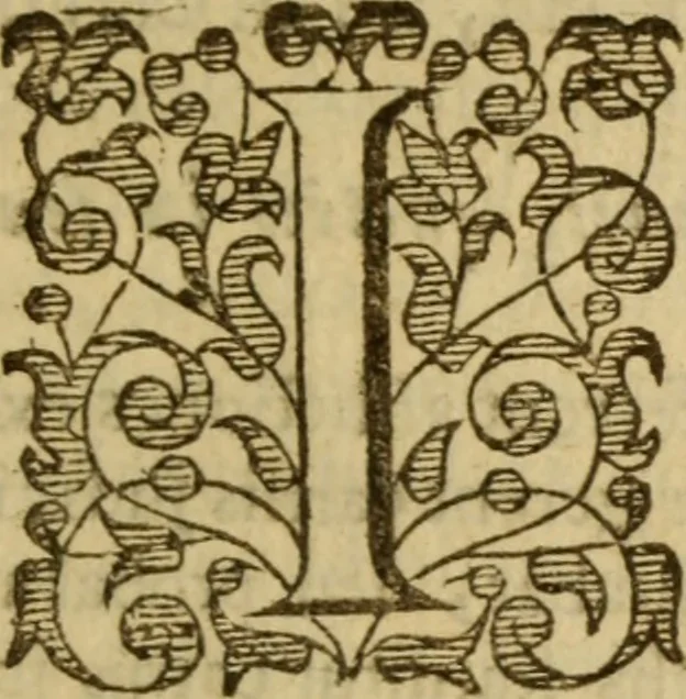 An illustration from Expositio analytica omnium Apostolicarum Epistolarum, seu, Brevis introductio ad pleniores commentarios : in usum studiosorum theologiae, 1647, leaf 688