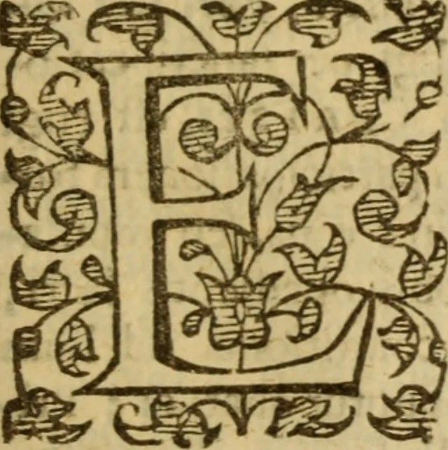 An illustration from Expositio analytica omnium Apostolicarum Epistolarum, seu, Brevis introductio ad pleniores commentarios : in usum studiosorum theologiae, 1647, leaf 716