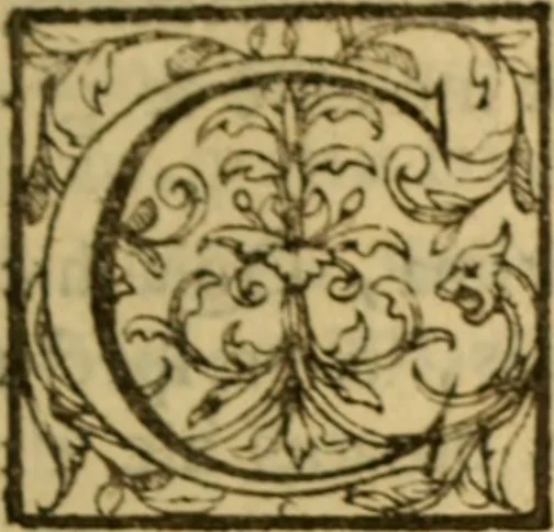 An illustration from Expositio analytica omnium Apostolicarum Epistolarum, seu, Brevis introductio ad pleniores commentarios : in usum studiosorum theologiae, 1647, leaf 734