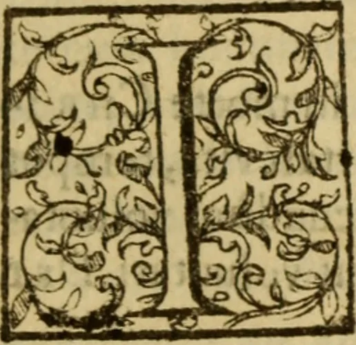 An illustration from Expositio analytica omnium Apostolicarum Epistolarum, seu, Brevis introductio ad pleniores commentarios : in usum studiosorum theologiae, 1647, leaf 740