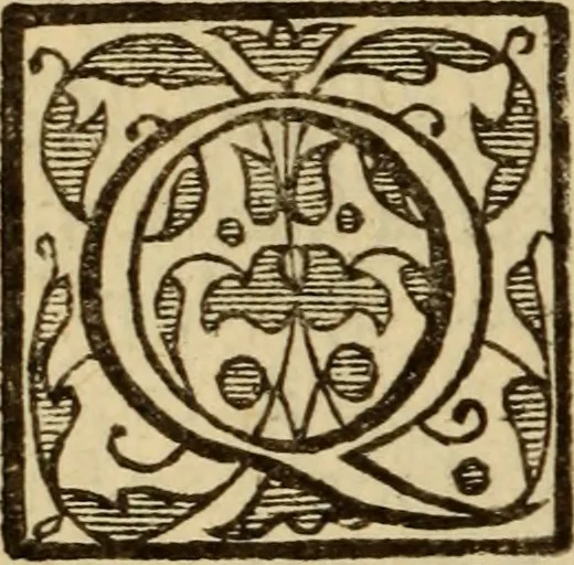 An illustration from Expositio analytica omnium Apostolicarum Epistolarum, seu, Brevis introductio ad pleniores commentarios : in usum studiosorum theologiae, 1647, leaf 757