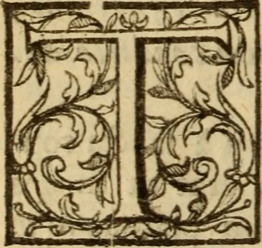 An illustration from Expositio analytica omnium Apostolicarum Epistolarum, seu, Brevis introductio ad pleniores commentarios : in usum studiosorum theologiae, 1647, leaf 763